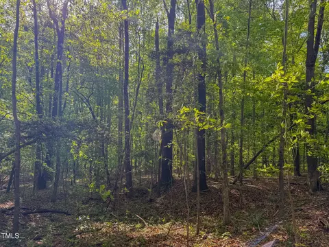 13 96 Acre Bunny Rd, Rougemont, NC 27572 photo 4