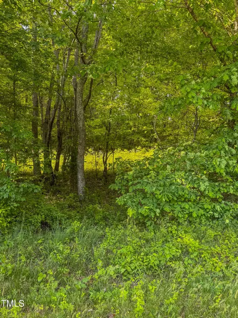 13 96 Acre Bunny Rd, Rougemont, NC 27572 photo 5