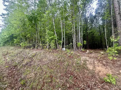 lot2 Range Rd, Rougemont, NC 27572 photo 5