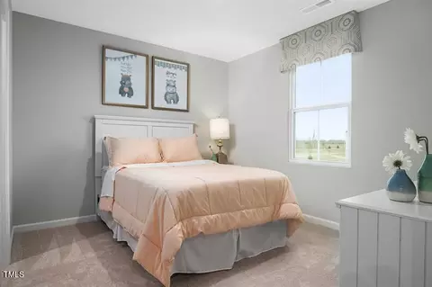 Bedroom - 8456 Butterfly Dr, Bailey, NC 27807 photo 3 of 4
