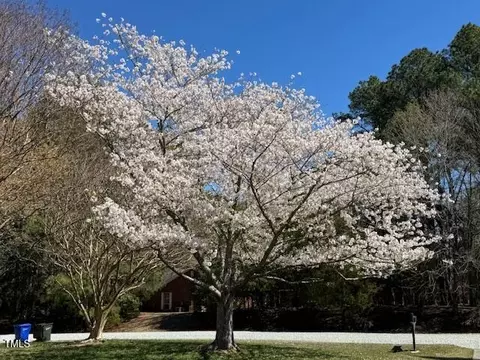 2715 Freemont Rd, Durham, NC 27705 photo 51