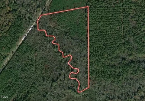 0 Briston Brown Rd, Littleton, NC 27850