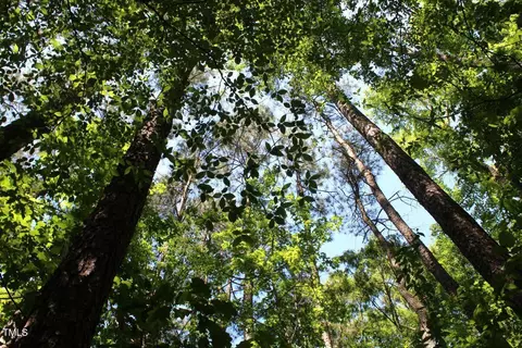 0 Sims Bridge Rd, Kittrell, NC 27544 photo 22