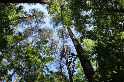 0 Sims Bridge Rd, Kittrell, NC 27544 photo 23