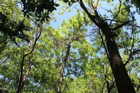 0 Sims Bridge Rd, Kittrell, NC 27544 photo 25
