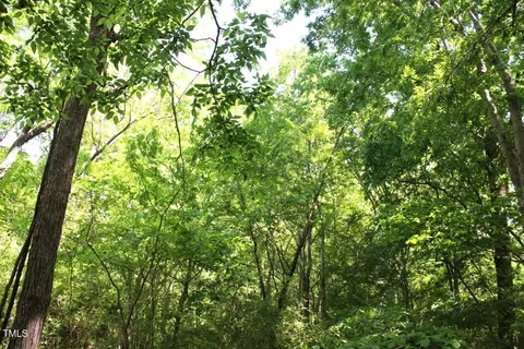 0 Sims Bridge Rd, Kittrell, NC 27544 photo 24