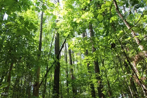 0 Sims Bridge Rd, Kittrell, NC 27544 photo 21