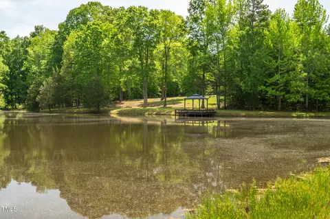 View/Area - 35 Fire Tower Dr, Rougemont, NC 27572 photo 4 of 6