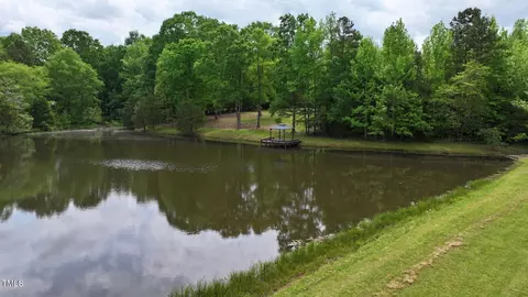 View/Area - 35 Fire Tower Dr, Rougemont, NC 27572 photo 5 of 6