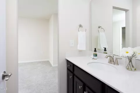 1102 Birchbark Rd, Durham, NC 27705 photo 43