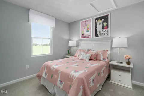 Bedroom - 3941 Dragonfly Rd, Bailey, NC 27807 photo 3 of 3