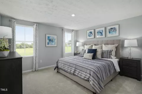 Bedroom - 3941 Dragonfly Rd, Bailey, NC 27807 photo 1 of 3