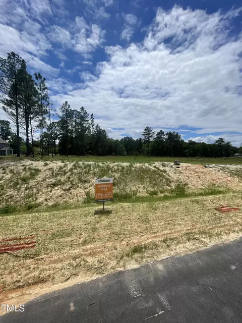 Other - 322 Deodora Ln, Cameron, NC 28326 photo 6 of 8