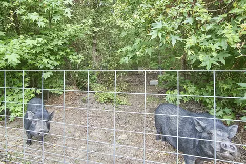 909 Goodwin Rd, Durham, NC 27712 photo 29