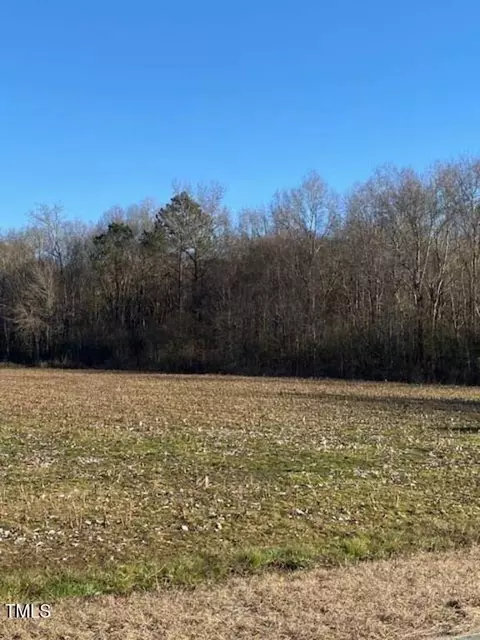 295 Covington Rd, Bunnlevel, NC 28323 photo 5