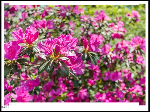 Other - 216 Brook Ln, Durham, NC 27712 photo 9 of 11