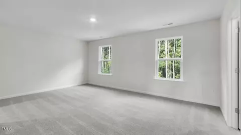 809 Comice Pear Way, Willow Spring, NC 27592 photo 15