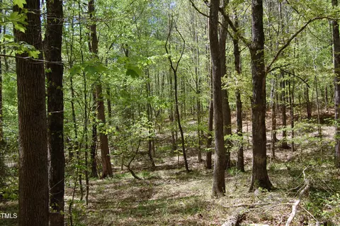 0 Egypt Mountain Rd, Kittrell, NC 27544 photo 5