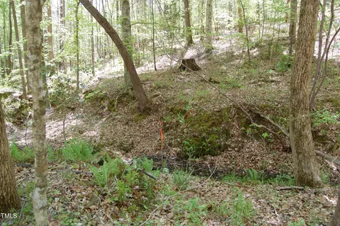 0 Egypt Mountain Rd, Kittrell, NC 27544 photo 8