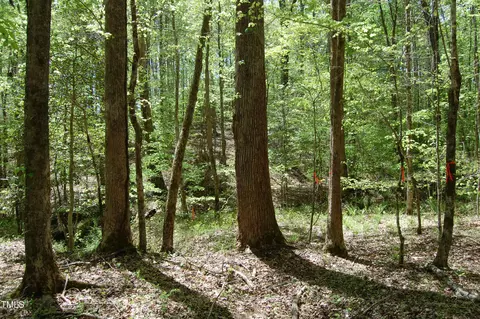 0 Egypt Mountain Rd, Kittrell, NC 27544 photo 13