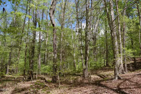0 Egypt Mountain Rd, Kittrell, NC 27544 photo 7