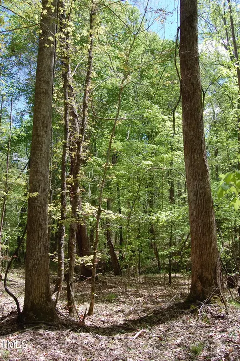 0 Egypt Mountain Rd, Kittrell, NC 27544 photo 12