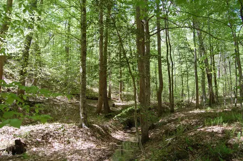 0 Egypt Mountain Rd, Kittrell, NC 27544 photo 11
