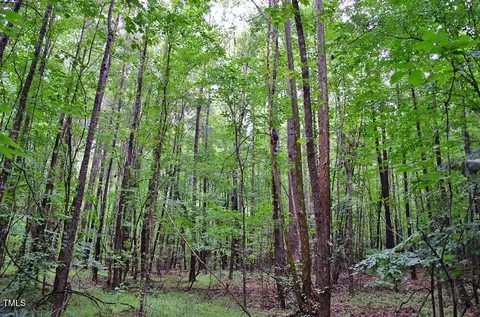 3111 Old Nc 75, Stem, NC 27581 photo 23