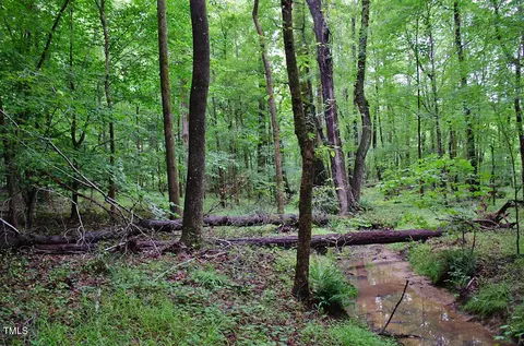 3111 Old Nc 75, Stem, NC 27581 photo 25