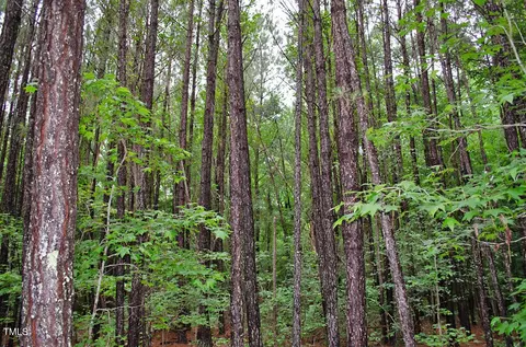 3111 Old Nc 75, Stem, NC 27581 photo 26