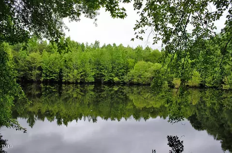 3111 Old Nc 75, Stem, NC 27581 photo 11