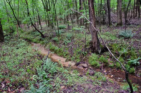 3111 Old Nc 75, Stem, NC 27581 photo 22