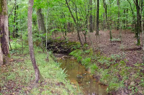 3111 Old Nc 75, Stem, NC 27581 photo 24