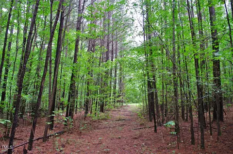 3111 Old Nc 75, Stem, NC 27581 photo 21
