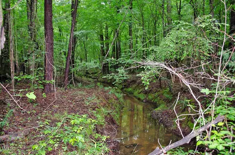 3111 Old Nc 75, Stem, NC 27581 photo 18