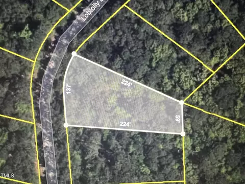 1045 Loblolly Dr, Vass, NC 28394