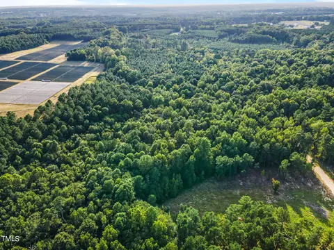 295 Old Eason Rd, Zebulon, NC 27597 photo 10