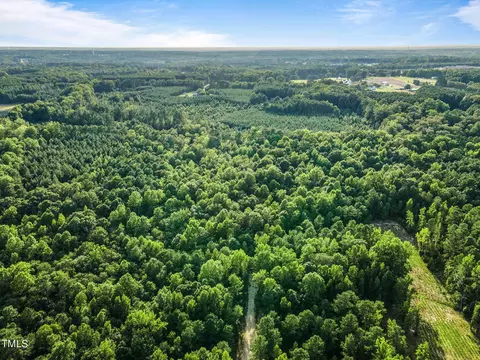 295 Old Eason Rd, Zebulon, NC 27597 photo 9