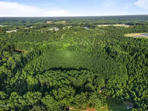 295 Old Eason Rd, Zebulon, NC 27597 photo 13