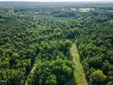 295 Old Eason Rd, Zebulon, NC 27597 photo 11