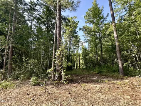 295 Old Eason Rd, Zebulon, NC 27597 photo 7