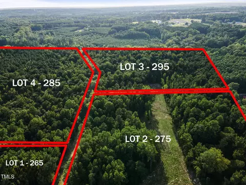 295 Old Eason Rd, Zebulon, NC 27597 photo 5