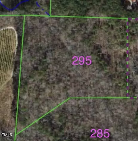 295 Old Eason Rd, Zebulon, NC 27597 photo 4