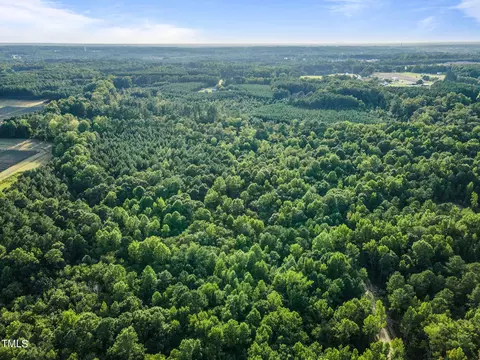 295 Old Eason Rd, Zebulon, NC 27597 photo 12