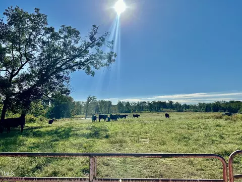 lot1 Jones Rd, Hurdle Mills, NC 27541