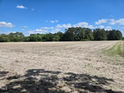 0 Lee-johnson Rd, Dunn, NC 28334 photo 8