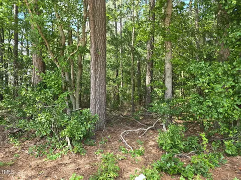 0 Lee-johnson Rd, Dunn, NC 28334 photo 10