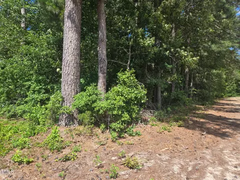 0 Lee-johnson Rd, Dunn, NC 28334 photo 4