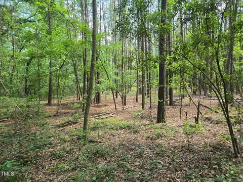 0 Lee-johnson Rd, Dunn, NC 28334 photo 9