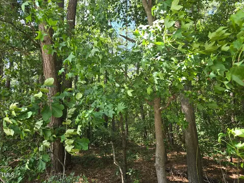0 Lee-johnson Rd, Dunn, NC 28334 photo 3